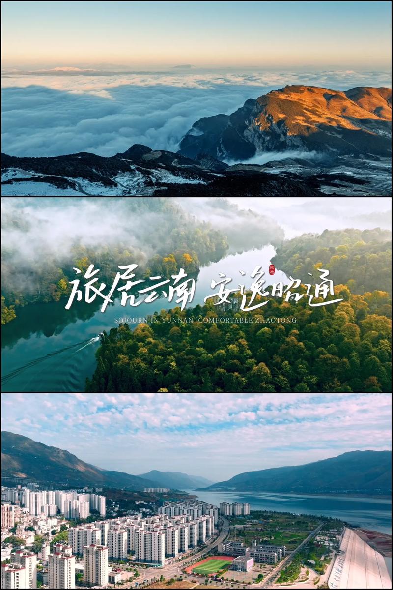 品牌全案策划：企业成长的航图